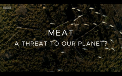 Meat: A Threat to Our Planet?